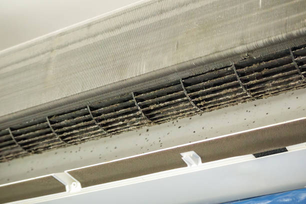 Best Home Air Vent Cleaning  in Upper Sandusky, OH